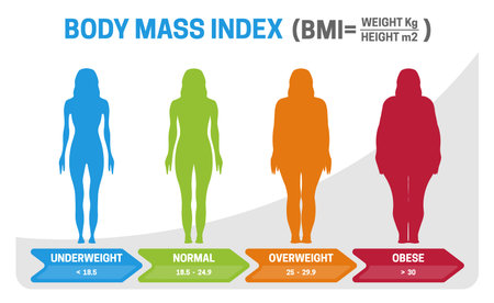 BMI Body Mass Index Vector Illustration with Woman Silhouette from Underweight to Obese. Obesity degrees with different weight.のイラスト素材