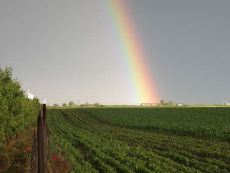 Beautiful double rainbow in a fieldの写真素材