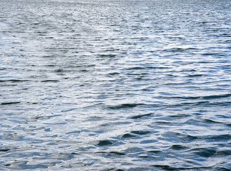 Lake Water Texture