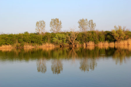 Autumn Colorful Trees Reflecting in Tranquil River