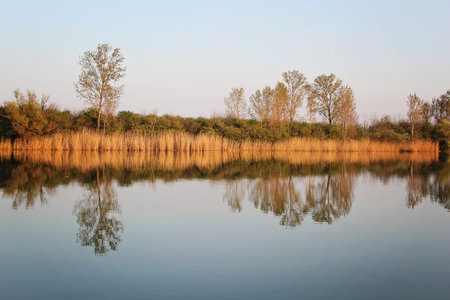 Autumn Colorful Trees Reflecting in Tranquil River