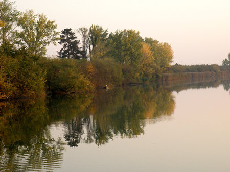 Autumn Colorful Trees Reflecting in Tranquil River