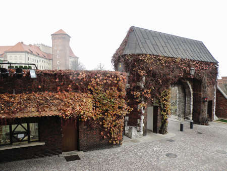 Krakow Wawel Castle Gate in Polandのeditorial素材
