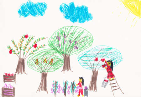 Fruit Harvesting Children's Drawingの写真素材