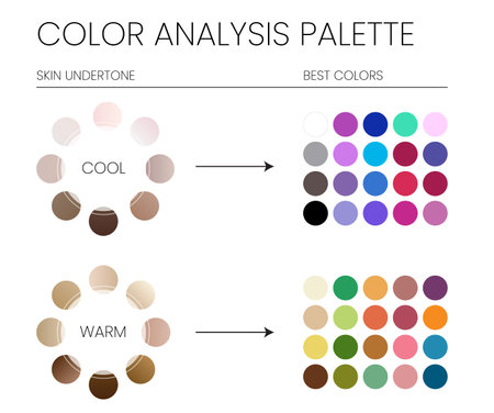 Color Analysis Palette by Cool and Warm Skin Undertones and the Best Colors to Wear Chartのイラスト素材