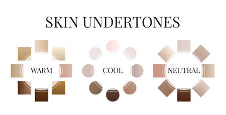 Gradient Skin Undertone Color Paletteのイラスト素材