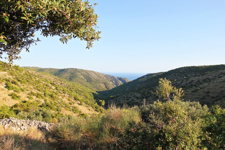 Hvar Island Green Nature Landscape in Croatiaの写真素材