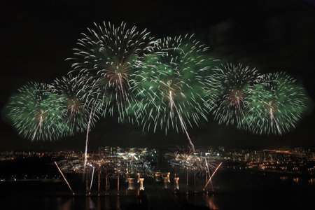 Fireworks-2の写真素材