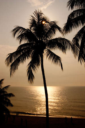 The white sand beach on Malaysia's east coast is a popular destination for both domestic and international tourists.の写真素材