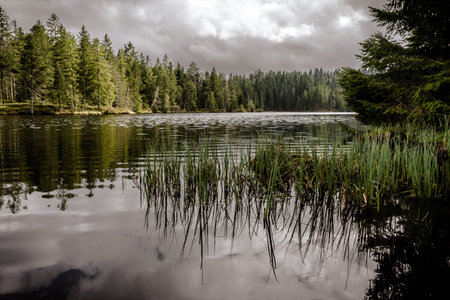 Etang de la Gruere, Jura, Switzerland