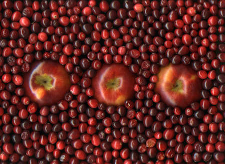 Fresh organic red apples with vibrant cranberriesの写真素材