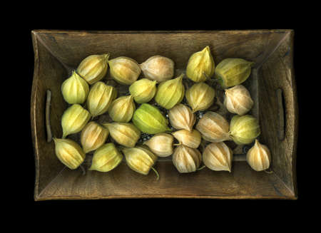 Physalis on a wooden tray isolated on black backgroundの写真素材