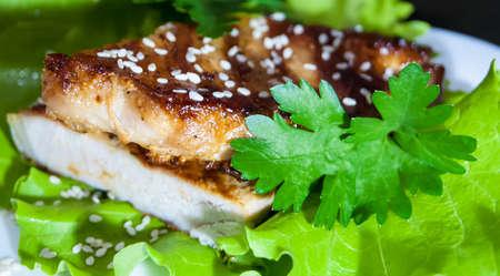 Beef steak on lettuce leaves.の写真素材