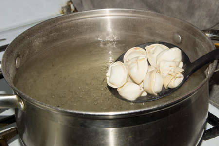 Dumplings stew in the pot with spices and the Bay leaf.の写真素材