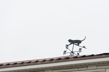 A weather vane with the cat and the mouse.の写真素材
