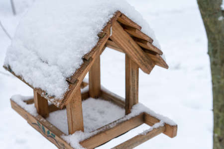 Feeder for birds in the winter forest.の写真素材