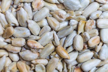 Photo of peeled fried sunflower seeds closeup.の写真素材