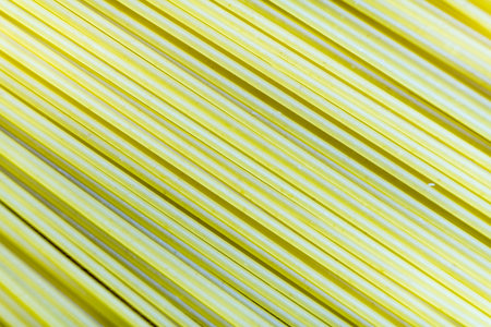 Raw pasta close-up.