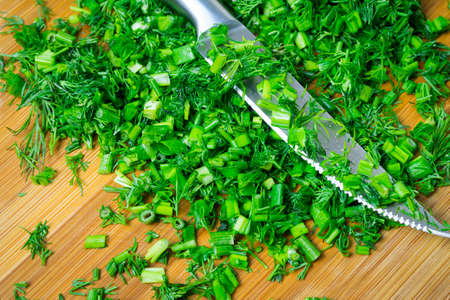 Dill is a fresh cut to add to various dishes.の写真素材