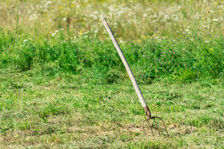 A handy tool for harvesting cut grass.