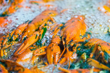 Boil the crayfish in a pot. Place for your textの写真素材