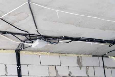 Manufacture of electrical wiring in a brick house. Manufacture of electrical wiring in a brick...