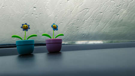 Solar sunflower is placed on the front of the car on a rainy day. Doll in front of the car with atmosphere when it rains and background raindrops on car glass.の写真素材