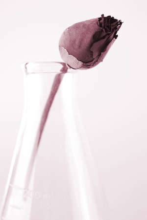 sad flowerの写真素材