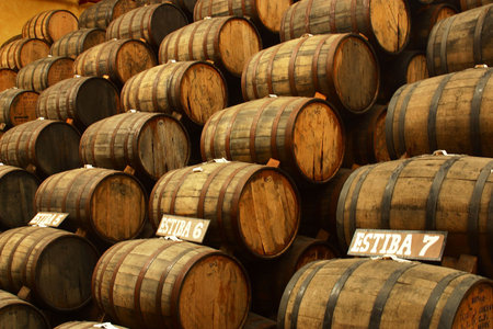 tequila production in  tequila, jalisco, mexico