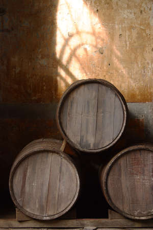 tequila production in  tequila, jalisco, mexicoの写真素材