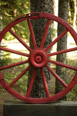 montreal, canada, americaの写真素材