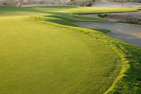 golf courtの写真素材