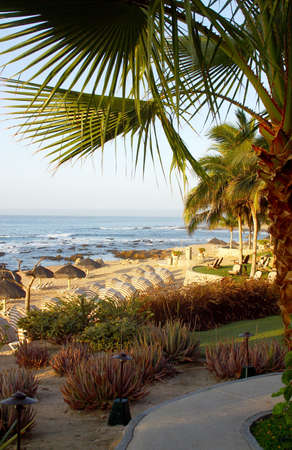 beach in los cabos, mexicoの写真素材