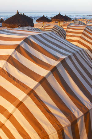 beach detailの写真素材