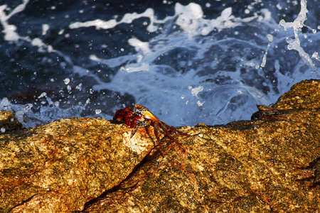 wave powerの写真素材