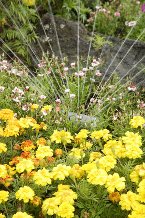 montreal, canadaの写真素材