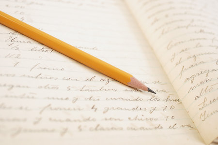 old diary detail
