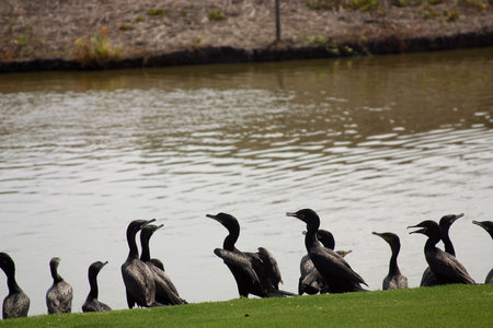 duks in Mexicoの写真素材