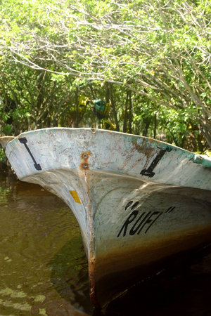 boat in the river for the tour to a cocodrile farm and to go cocodrile watching in tne proximity of San Agustinillo in the southern State of Oaxaca in Mexico, Latin Americaの写真素材