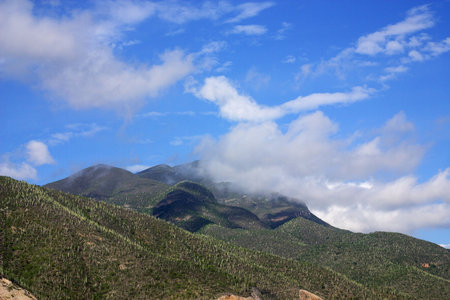 mountains with cactus at the road from  Puebla to Oaxaca in the southern state of Oaxaca Mexico,Latin Americaの写真素材