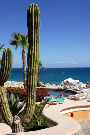 cactus garden and pool next to the beach at Los Cabos, Baja California, Mexico, Latin Americaの写真素材
