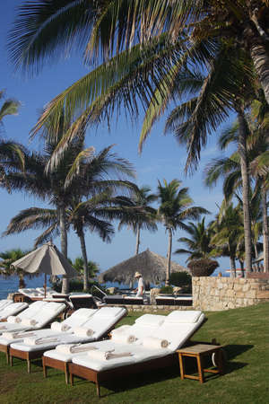 paradise in Los Cabos, Baja California Sur, Mexicoの写真素材