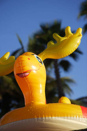pool toy at Los Cabos, Baja California Sur, Mexicoの写真素材