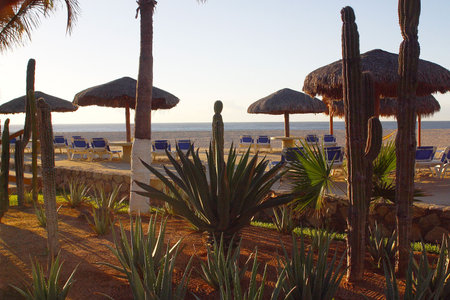 chairs at the beach of a hotel in Los Cabos, Baja California, Mexico, Latin Americaの写真素材