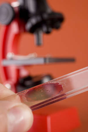 working in a laboratory with a microscopeの写真素材