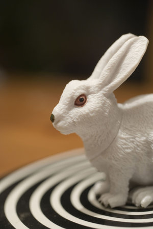 crazy rabbit toyの写真素材
