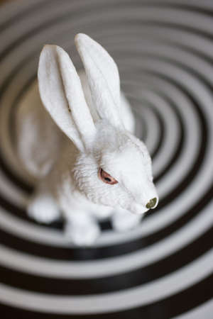 crazy rabbit toyの写真素材