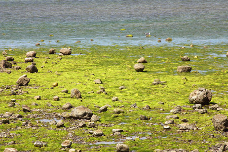 rocks detail in some point of Mexico
