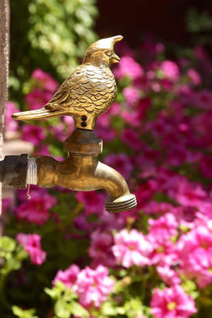 a nice detail in a mexican gardenの写真素材