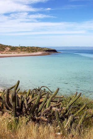 Beach of La Balandra in Baja California, Mexicoの写真素材